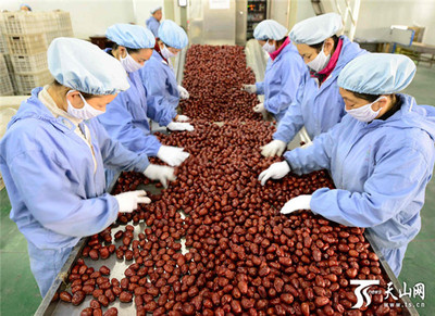 新疆阿拉尔垦区 红枣严格分级打造品牌，助推农副产品升级