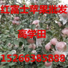 宏源农副产品购销处 打造优质农副产品供应链的桥梁