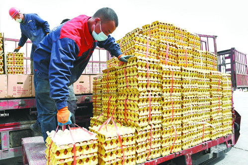 菜篮子里的抗疫力量——西宁市农副产品市场保供见闻