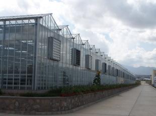 福建厦门玻璃温室大棚 现代农业技术的农副产品生产典范