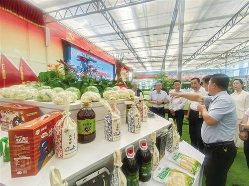 2025中国榆中高原夏菜新品博览会盛大开幕，1087个新品种引领农业创新