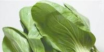 东莞农副产品智能配送中心全面启动 高效服务惠及超两万居民