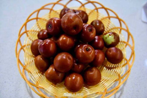 戈壁绿洲展新篇 新疆农副产品跨越万里香飘四方