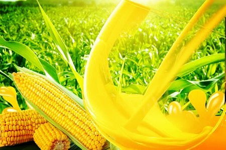 吉林农副食品加工公司57.136%股权转让 行业机遇与挑战并存